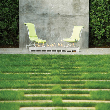 Modern Landscape