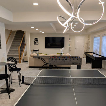 Modern Highlands Ranch Finished Basement by Brothers