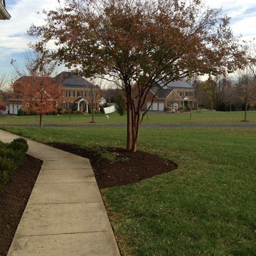 Fall Clean Up