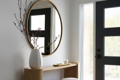 Inspiration for a contemporary entryway remodel in Toronto