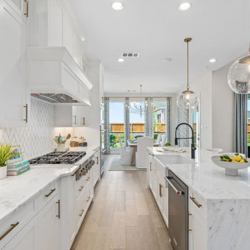 Mosaic 60' Model
