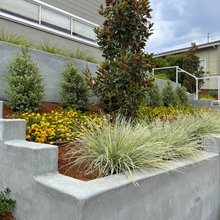 Driveway landscape