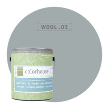 Paint Color