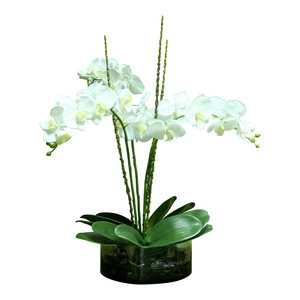 Waterlook White Orchids In Glass Spotted Leopard Vase Tropical Artificial Flower Arrangements By Distinctive Designs