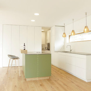 75 Beautiful Scandinavian Kitchen With Green Cabinets