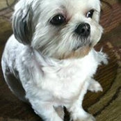 Rozlyn Zuber's photo