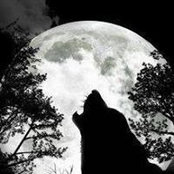 Foto de Melissa Wolfe