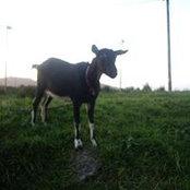 Jackie Heaton's photo