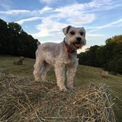 Kathy Odell's photo