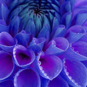 Kate McQuade's photo
