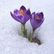 Geralyn Vertz's photo