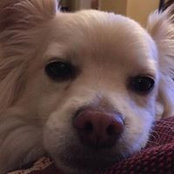 Kathy Rhodes Tedesco's photo