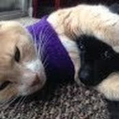 Lynn Lavender's photo