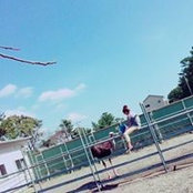 千里平塚s foto
