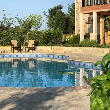 Family's Dream Backyard