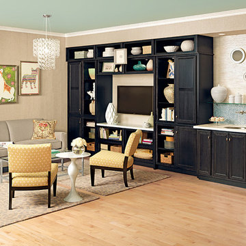 Cabinets Aren't Just for Kitchens