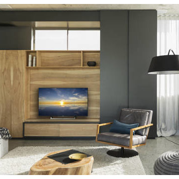 Family Entertainment Systems