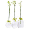 Two's Company Sleek And Chic Vase Trio with Knotted Rope Tie