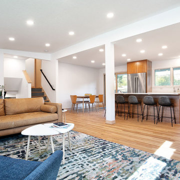 Project 3680-1 Minneapolis Scandinavia Modern Whole House Renovation