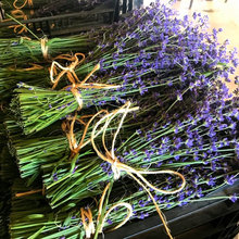 Secar Hiervas De Olor