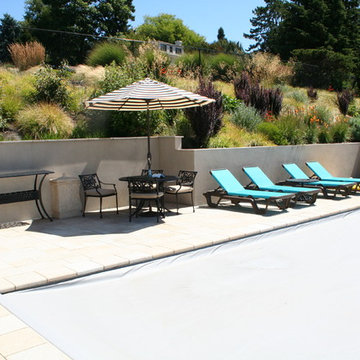 Swimming pool and sloped garden
