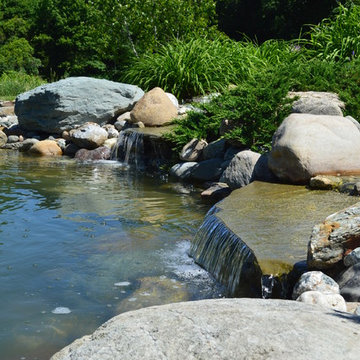 Vermont Natural Swimming Pond