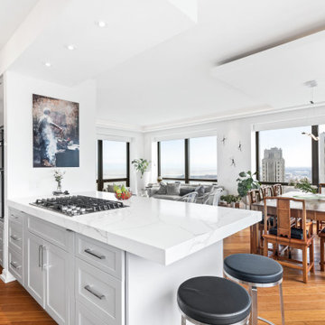 Multi-Room Chicago Condo Remodel
