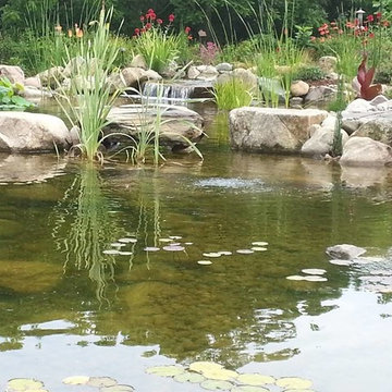 Koi ponds, backyard ponds, water feature ideas for your Michigan Landscape