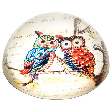 Glass Dome Owl Paper Weight
