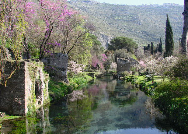 Mediterran Garten by Deutsche Verlags-Anstalt (DVA)