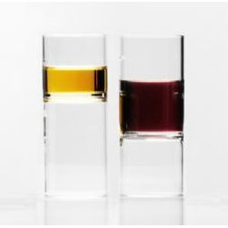Accessories - Everyday Glasses