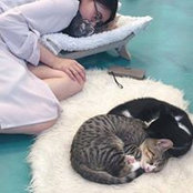 Yvon Ne's photo