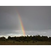 Debbie Sievert's photo