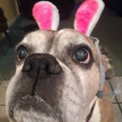 Heather Sturgis's photo