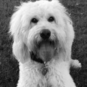 Tammy Atkinson's photo