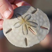 Luci Bochette's photo