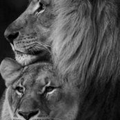 Shawnese Johnson's photo