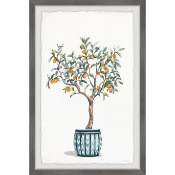 "Bonsai Orange Tree" Framed Painting Print