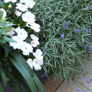 Allestimento area verde Milano