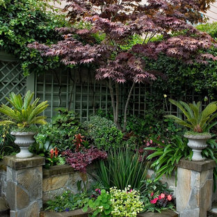 Schattiger Eklektischer Garten im Herbst, hinter dem Haus in San Francisco