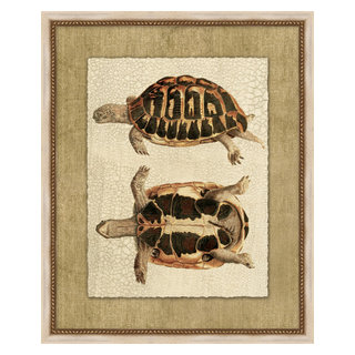 Neutral Turtle 3, Giclee Reproduction Artwork, 18x22 - Traditional ...
