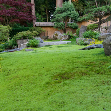 Moss gardens