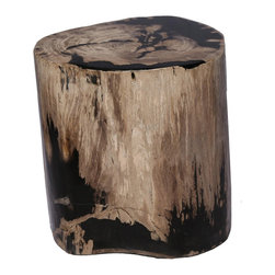 Petrified Wood Side Tables - Stool - Side Tables And End Tables