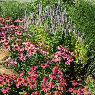 Waterfront Garden, Greenwich CT