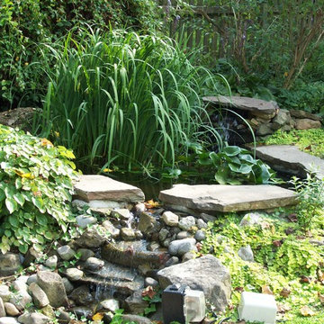Kitchen Garden