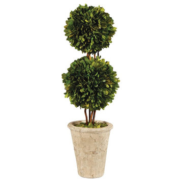 Elegant Double Ball Topiary Pot English Boxwood 20 in Classic Greenery Tabletop