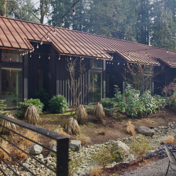 Forest Residence