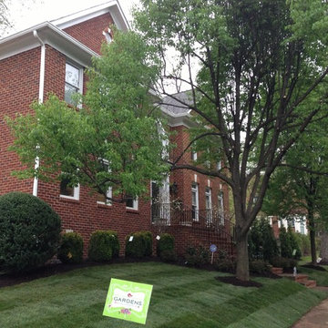 Traditional Boxwood Gardens