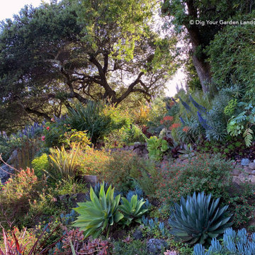 Hillside Landscape Sanctuary in Northern California