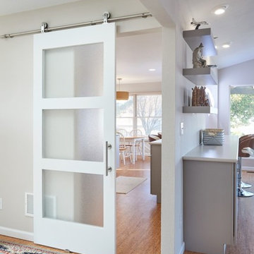Kitchen Remodeling in Caseyville, IL | Barn Door | Modern, Eco-Friendly Kitchen